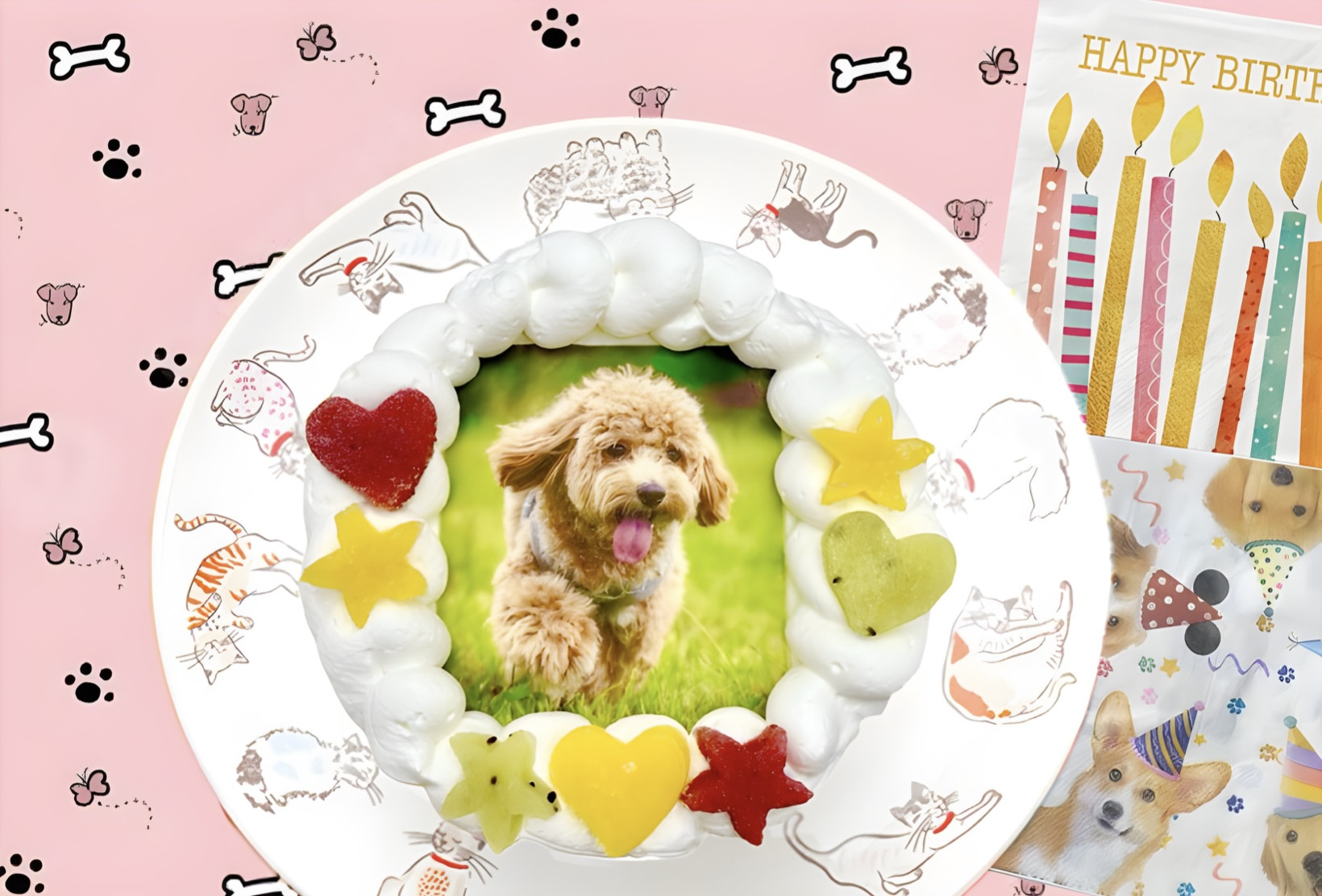 わんちゃん用EWP対応 室内犬用 ワンワン写真ケーキ 3号 9cm