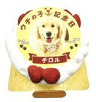 わんちゃん用EWP対応 小型犬用 ポップアップワンコ写真ケーキ 4号 12cm 1