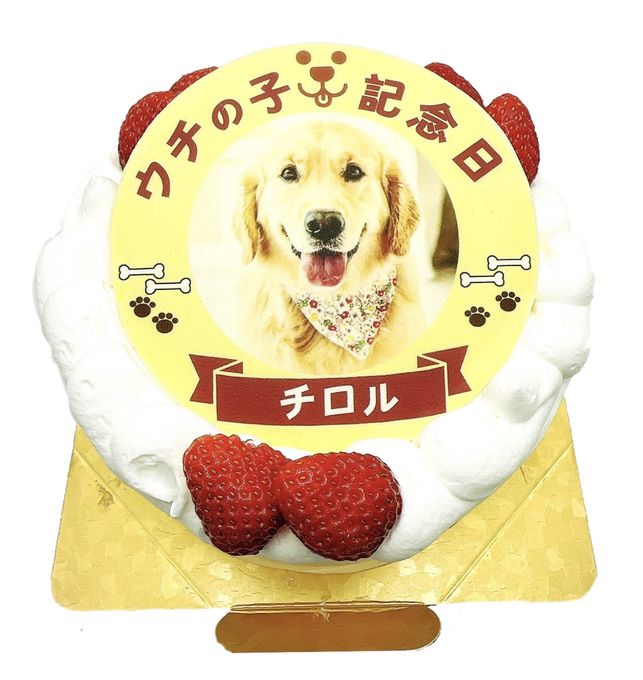 わんちゃん用EWP対応 室内犬用 ポップアップワンコ写真ケーキ 3号 9cm 1