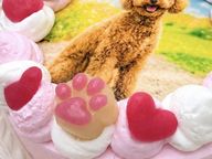 選べる6色のカラフルクリーム！わんこ・にゃんこフォトケーキ 3号 9cm 6