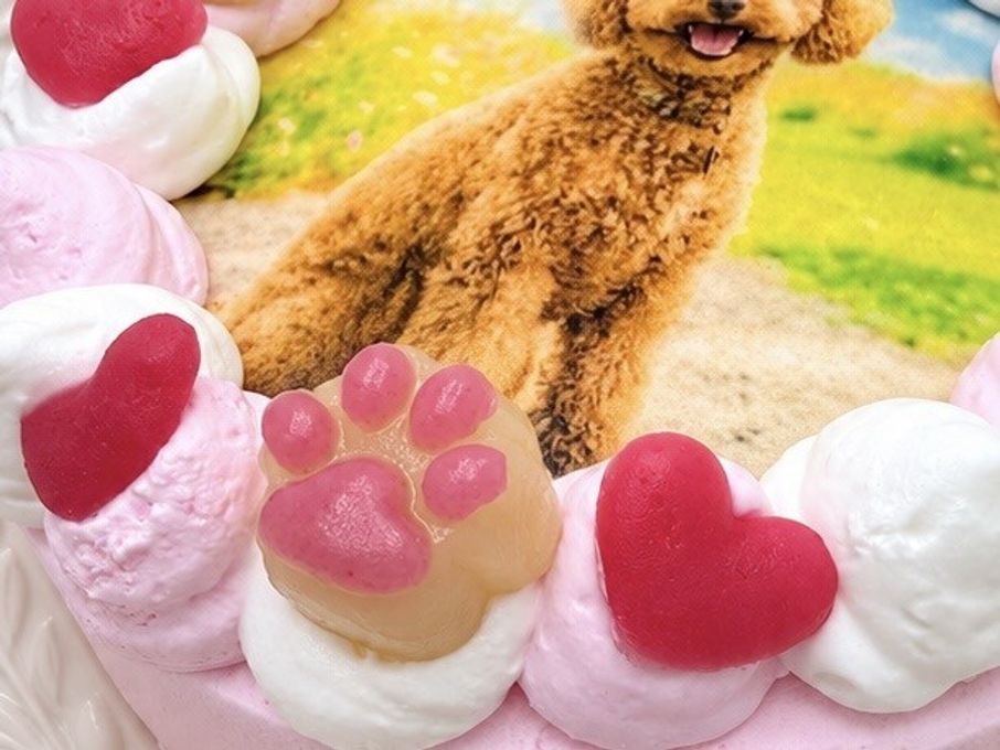 選べる6色のカラフルクリーム！わんこ・にゃんこフォトケーキ 3号 9cm 6