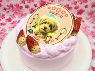 ひなまつり わんこ＆にゃんこポップアップ写真ケーキ 3号 9cm ひな祭り2026 4