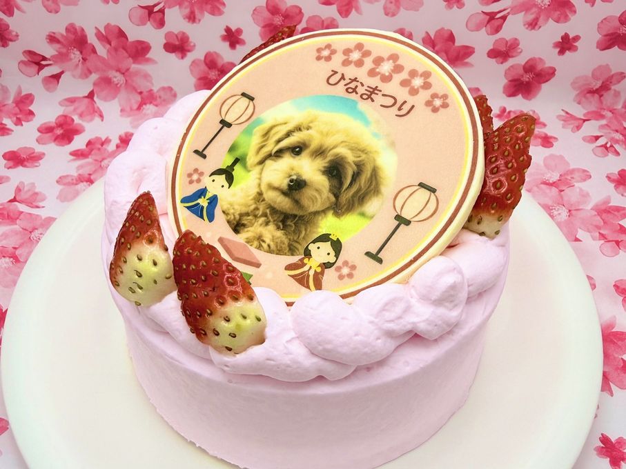 ひなまつり わんこ＆にゃんこポップアップ写真ケーキ 3号 9cm ひな祭り2026 4