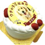 わんちゃん用EWP対応 大型犬用 ポップアップワンコ写真ケーキ 6号 18cm 4