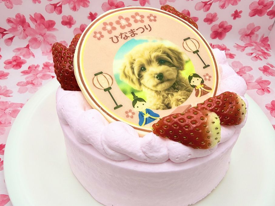ひなまつり わんこ＆にゃんこポップアップ写真ケーキ 3号 9cm ひな祭り2026 3