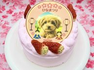ひなまつり わんこ＆にゃんこポップアップ写真ケーキ 3号 9cm ひな祭り2026 1