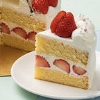 選べる3種の立体ボールケーキ 4号 12cm （サッカー・バレー・バスケ） 4