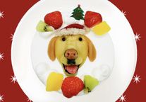 写真がそのままお顔に！クリスマスわんこ立体ケーキ 3号 9cm 室内犬用 クリスマス2024 1