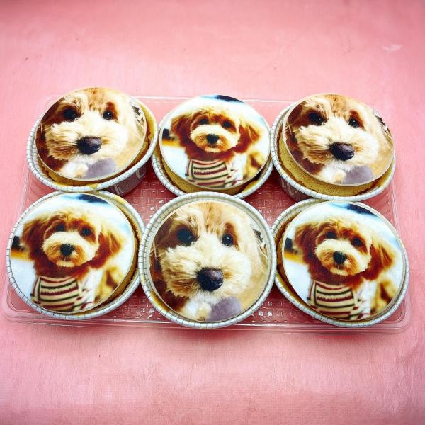 EWP対応》ペットフォトカップケーキ ペットと一緒に食べられる！ 6個