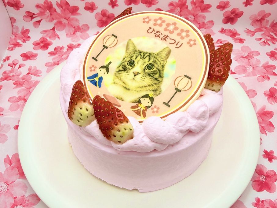 ひなまつり わんこ＆にゃんこポップアップ写真ケーキ 3号 9cm ひな祭り2026 6