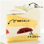 ねこ用 デコ盛りニャンコ Number Birthday cake 4号 12cm 5