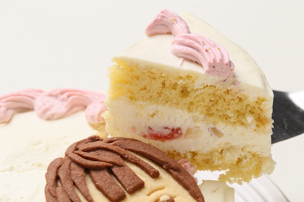 国産小麦粉と安心材料☆似顔絵クッキーのデコレーションケーキ 5号 15cm 3