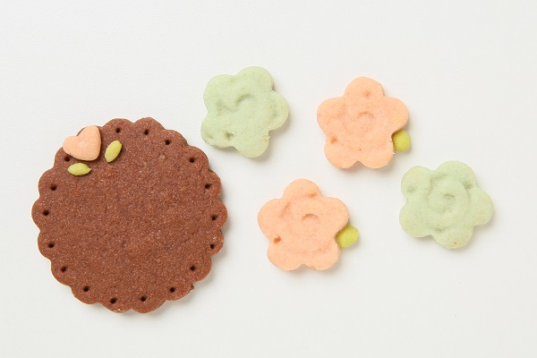 国産小麦粉と安心材料☆キャラクタークッキーのデコレーションケーキ 6号 18cm 10
