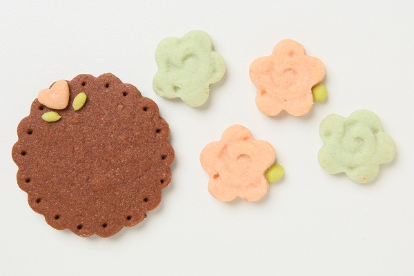 国産小麦粉と安心材料☆似顔絵クッキーのデコレーションケーキ 5号 15cm 10