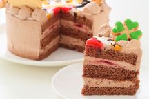 生チョコ苺ショート イラストケーキ アイシングクッキーケーキ 4号 ギフトに最適 9