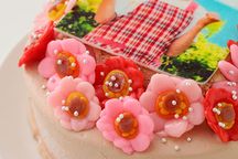 デコ盛りお花いっぱいフォトケーキ チョコ生クリーム 6号 18cm 6