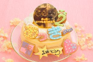 半熟ふわとろっスフレチーズ フォトケーキ ひらがなアイシングクッキーケーキ 写真ケーキ 5号 15cm ※ひらがなタイプ登場しました！ 【お好きなイラストも人気です】