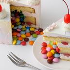 ペイント ギミックケーキ《センイルケーキ》 6
