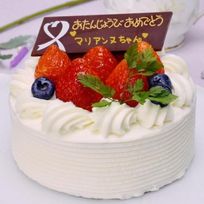 生チーズクリームのデコレーションケーキ 