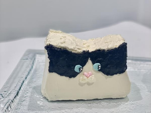 《センイルケーキ》韓国で人気の立体動物ケーキ《色と模様がオーダーできる》