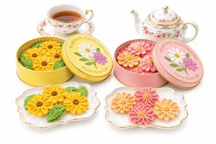 花咲く焼菓子「お花のぼうろ」2缶詰合せ｜コスモス・ヒマワリ｜クリアケース仕様｜