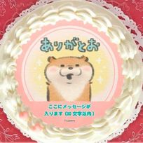 【メッセージ入り】プリケーキ(ありがとう柄)【特典／丸型缶バッジ付き】[可愛い嘘のカワウソ] 5号 15cm