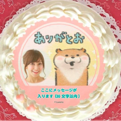 可愛い嘘のカワウソ プリロール 缶バッジ 写真メッセージ入り】プリケーキ(ありがとう柄)【特典／丸型缶バッジ