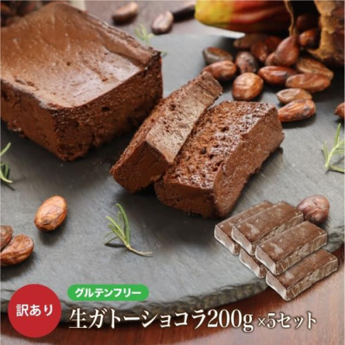 【グルテンフリー】 訳ありガトーショコラ「アウトレット」5本セット 1kg チョコレートな関係