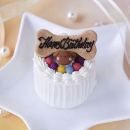 《犬用》小型犬向け☆ハッピープチミート《お肉のプチケーキ》 誕生日 お祝い 無添加 人気 一番 乳糖フリーグルテンクリー 安心安全