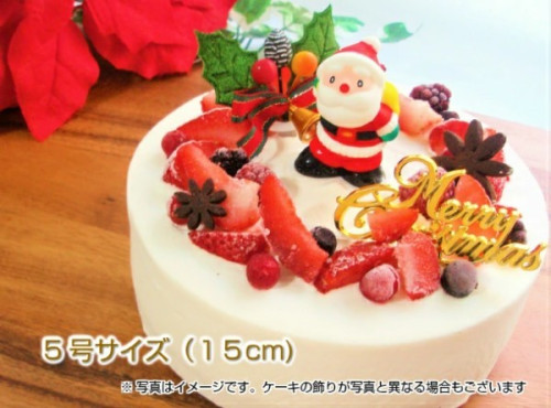【糖質制限・低糖質スイーツ】クリスマスケーキ 5号 15cm クリスマス2023