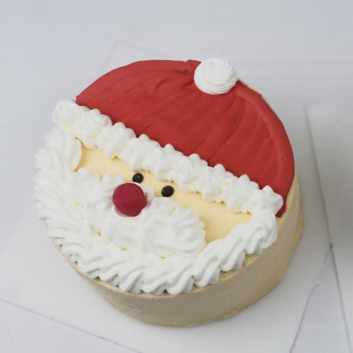 【クリスマス】サンタケーキ 5号 クリスマス2022