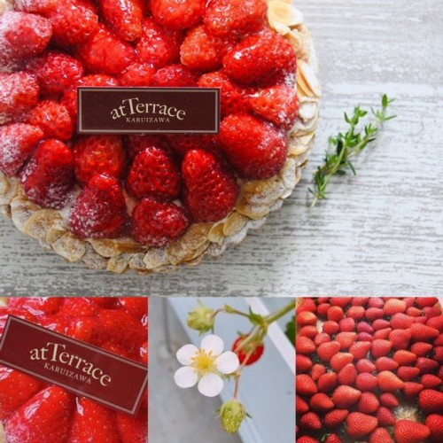 いちごたると 苺たると | 株式会社 みやげ山海