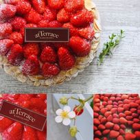 【冷蔵でお届け】軽井沢農園パティスリーから完熟いちごタルト4号 （※到着日にお召し上がりください）