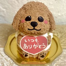 トイプードルの立体ケーキ 犬 ガナッシュクリーム 誕生日 センイルケーキ 動物ケーキ ドンムルケーキ  