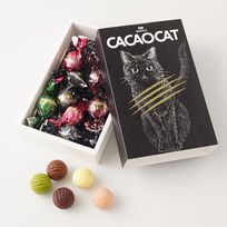 【CACAOCAT】CACAOCAT ミックス 13個入り BLACK 母の日のギフト・プレゼント2025