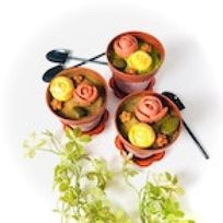 鹿児島県産使用植木鉢ティラミス 3種セット スコップスプーン付 