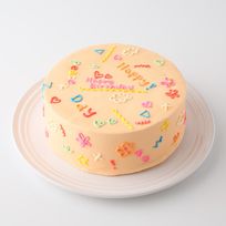色が選べる韓国風落書きケーキ 4号《センイルケーキ》