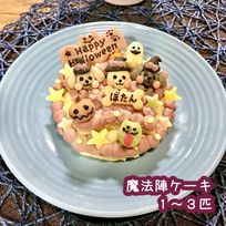 《犬用》わんこハロウィン★魔法陣ケーキ★米粉スポンジ