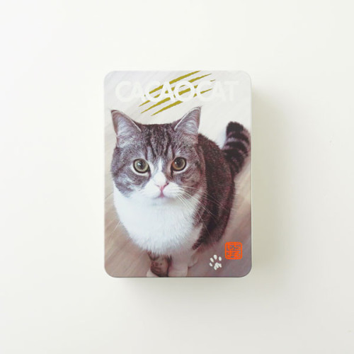 CACAOCAT缶 ミックス 14個入り もちまる日記【クリアファイル付き】