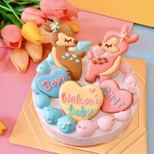 カラー選択♡ジェンダーリビールケーキ Boy？or Girl？ 4号