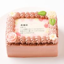 母の日限定感謝状ケーキ 12×9cm チョコ生クリーム 母の日2025