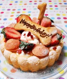 ≪犬用ケーキ≫中・大型犬向け☆ハッピーシャルロット 誕生日 お祝い 無添加