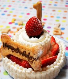 ≪犬・猫用ケーキ≫スペシャルな2段ショートケーキ☆ハッピーゴージャス 誕生日 お祝い 無添加