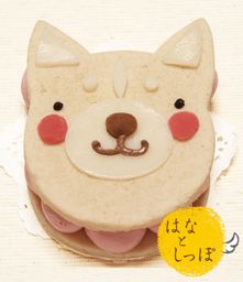 ≪犬用ケーキ≫ワンバーグ発酵ケーキ 【スムースコートチワワみたいなタイプ】 誕生日 お祝い 無添加