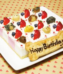 ≪犬・猫用ケーキ≫ピュアなレアチーズケーキ☆ハッピーキャレ 誕生日 お祝い 無添加