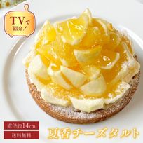 【父の日 早割 誕生日ケーキ 送料無料 メディア掲載店】初夏限定 夏香チーズタルト サマーオレンジ タルト 14cm 父の日2025 お中元2025