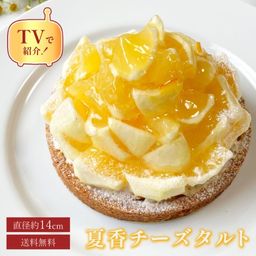 【お中元 御中元 早割 誕生日ケーキ 送料無料 メディア掲載店】初夏限定 夏香チーズタルト サマーオレンジ タルト 14cm お中元2025
