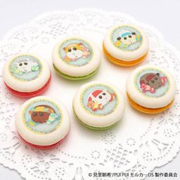 プリマカロン6個セット(ポテト＆シロモ＆アビー＆チョコ＆テディ&ローズ)[PUI PUI モルカー]