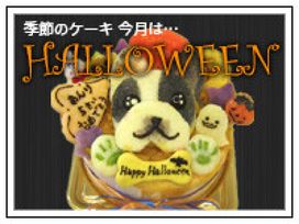 《犬用》【10月季節のケーキ】ハロウィン 似顔絵ケーキ 12cm ハロウィン 2024