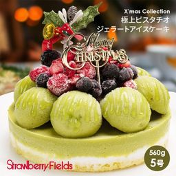 極上ピスタチオジェラートアイスクリスマスケーキ 5号【クリスマス】〔ピスタチオジェラート〕  クリスマス2025